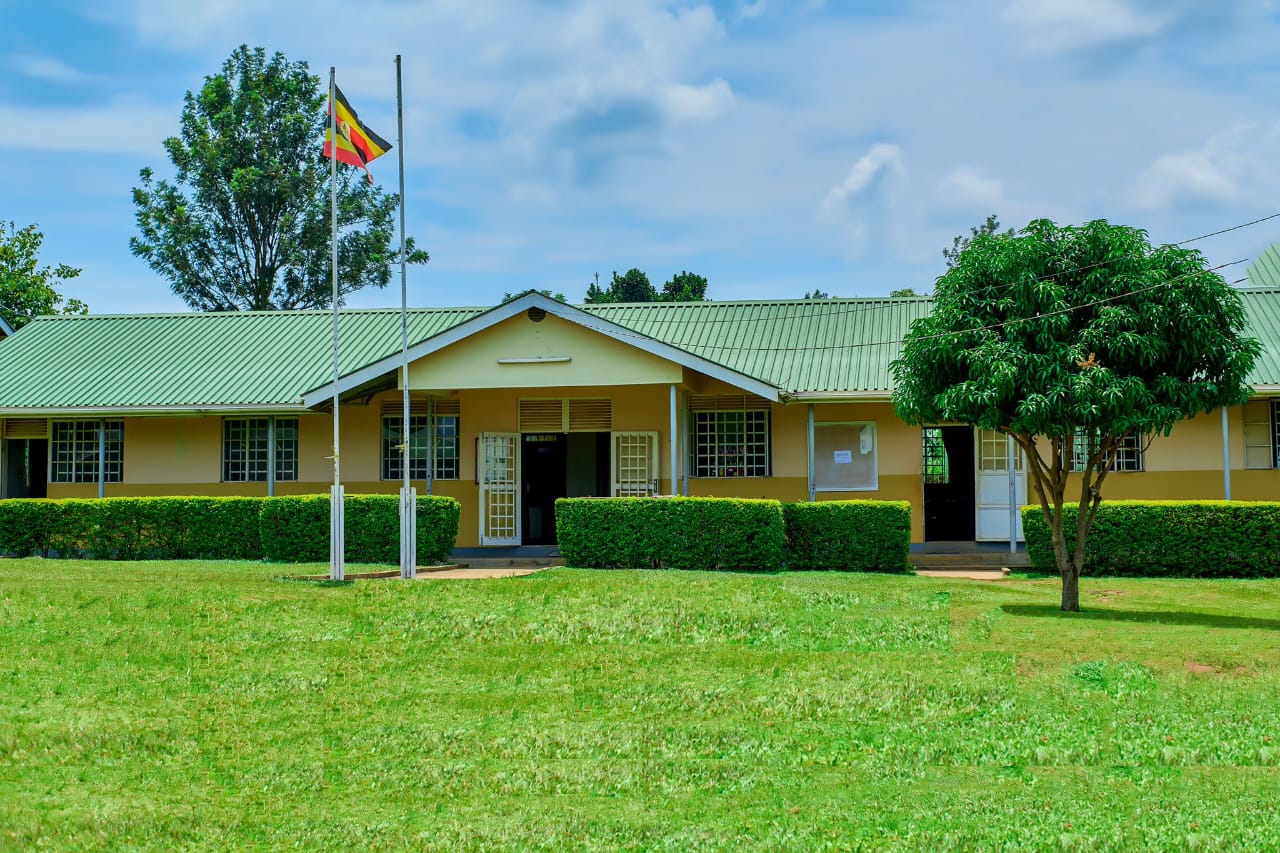 Gallery image